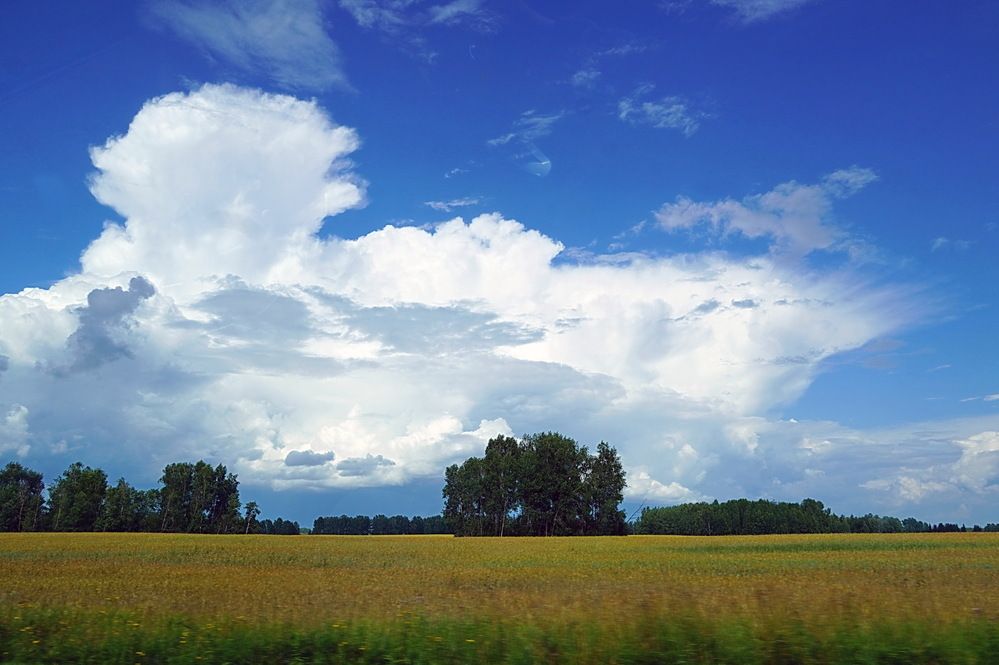 Photograph by Галина Кан