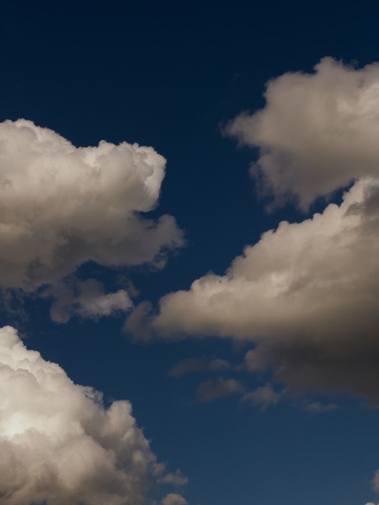 Photograph by Ася Жгенти