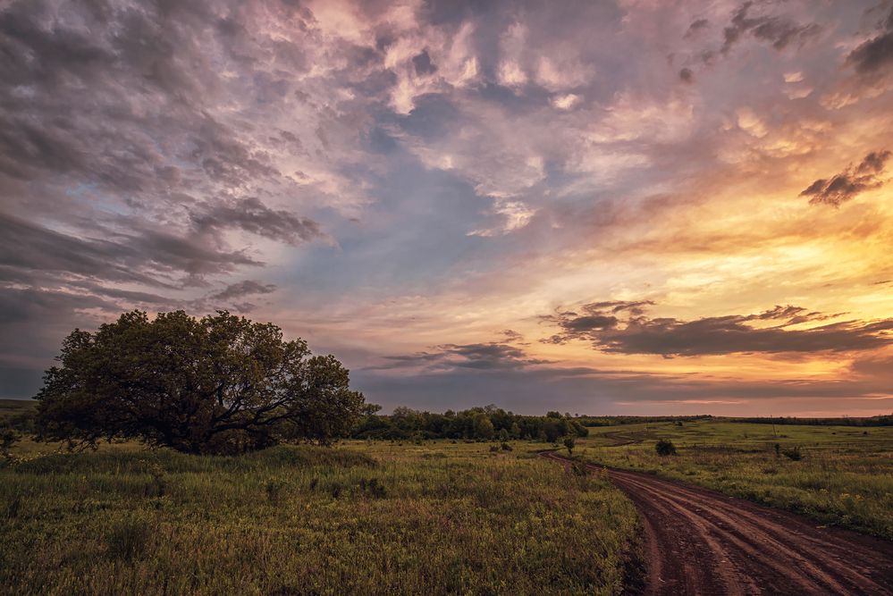 Photograph by Диденко Юрий