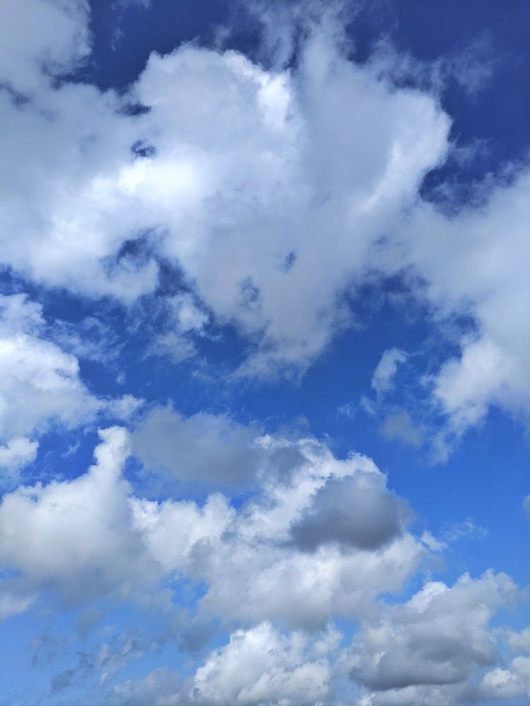 Photograph by Ameesh Tharumuthu Kumarasinghe Weda Arachchige