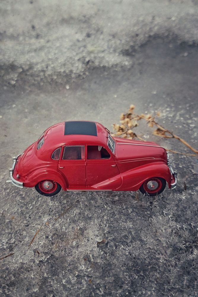 Фотография автора Евгения Владимировна