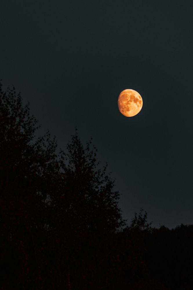 Фотография автора Aamoda Kitchen