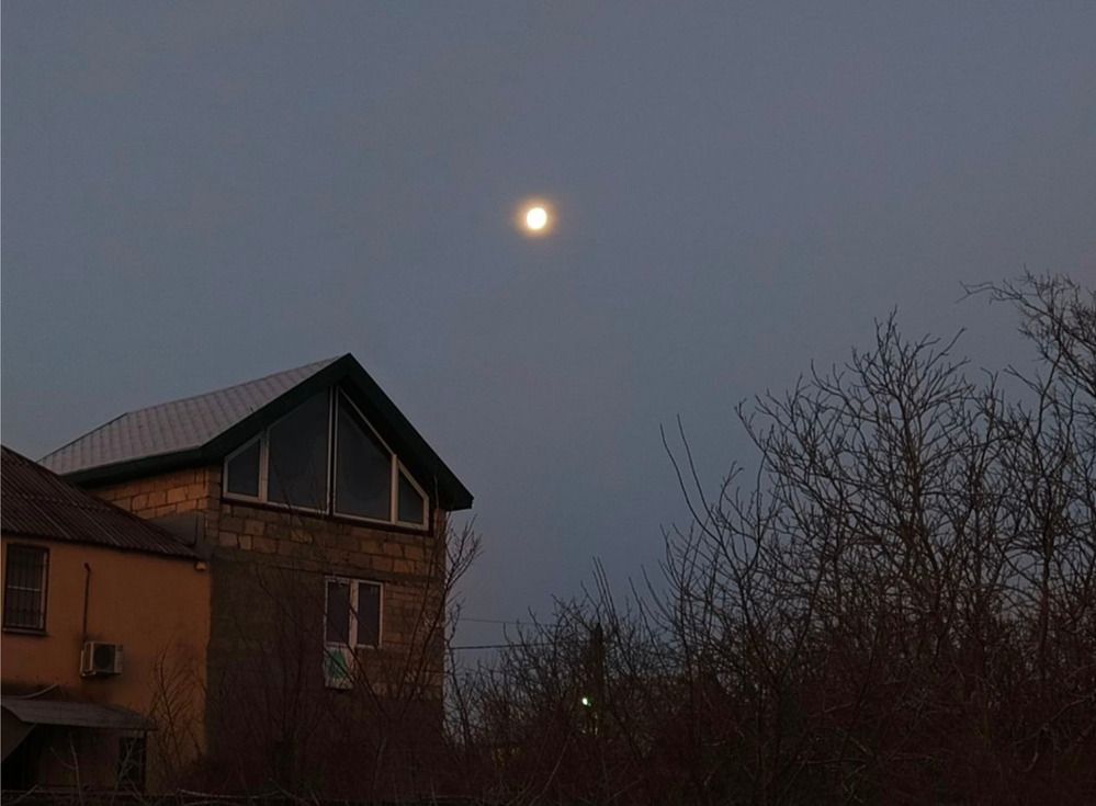 Photograph by Майя Стащенко