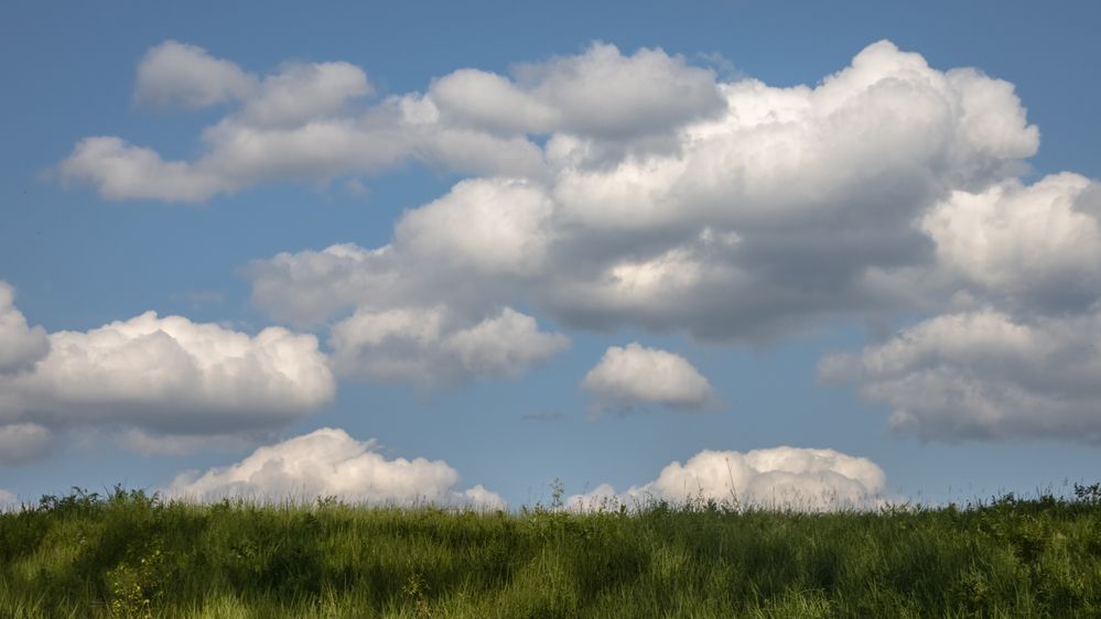 Photograph by Татьяна Романова