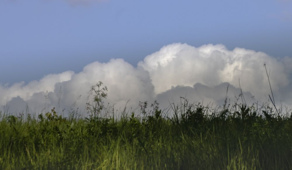 Photograph by Татьяна Романова