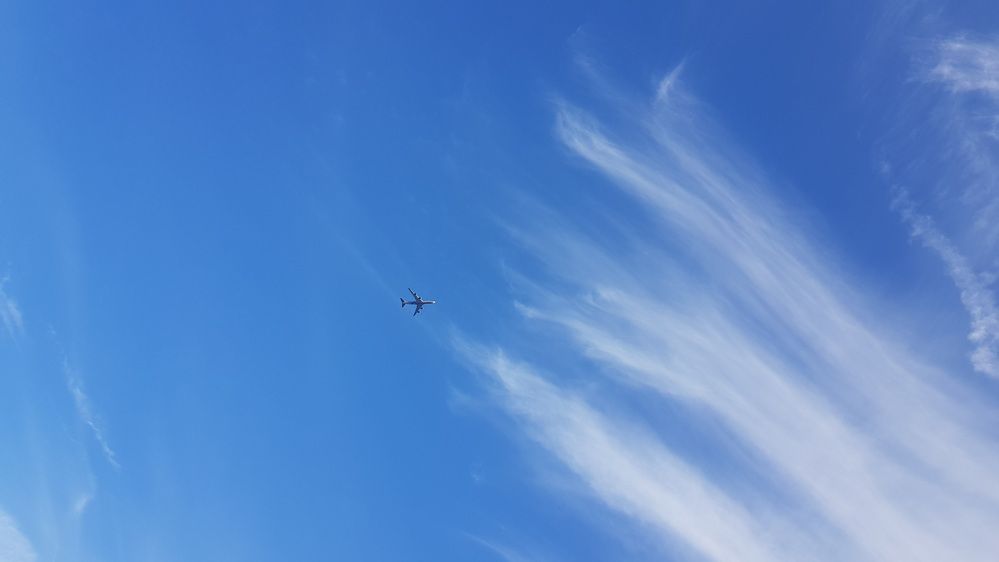 Photograph by Сушкевич Светлана