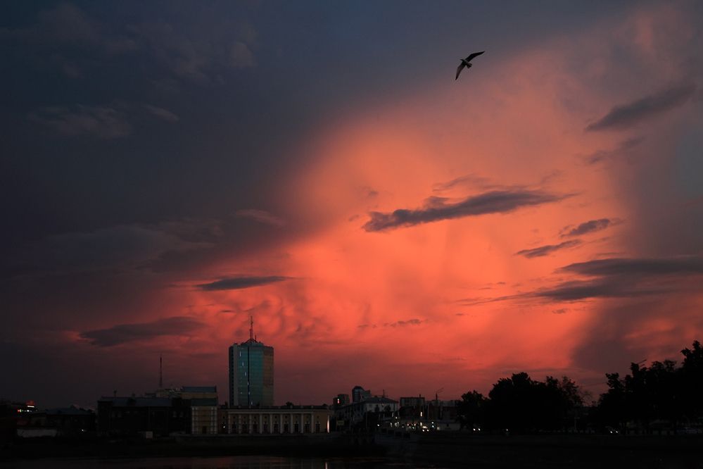 Photograph by Евгений Чуфаров