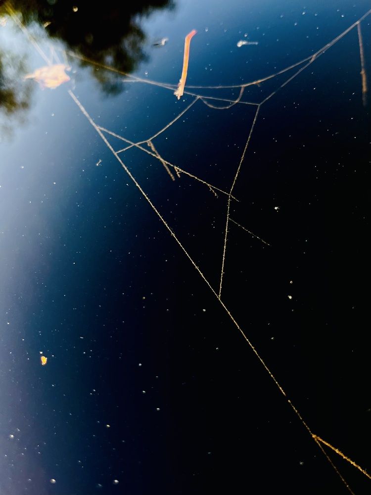 вода- космос