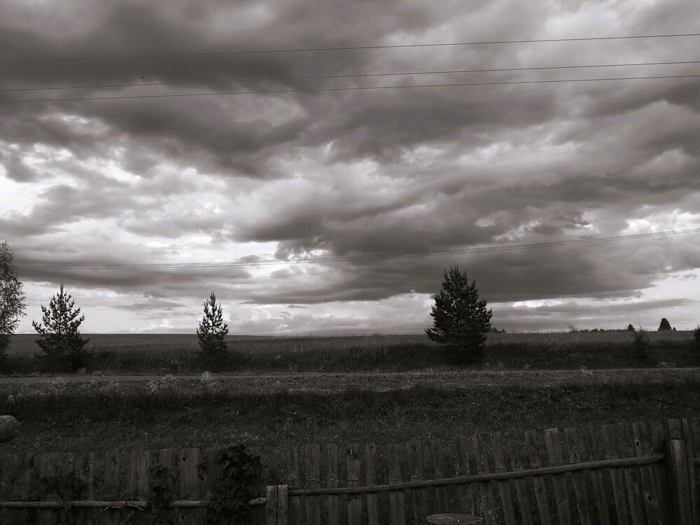 Летний вечер