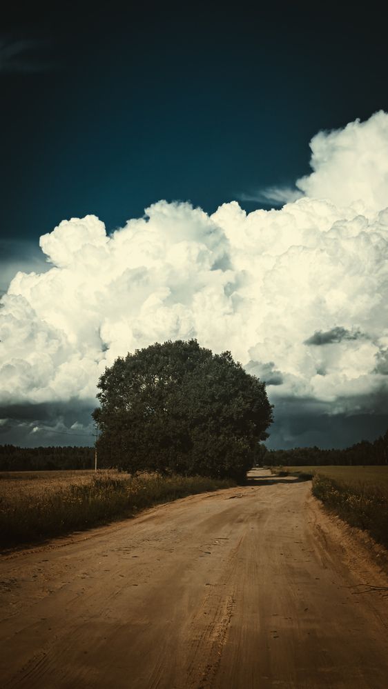 Фотография автора Виктор Орлов