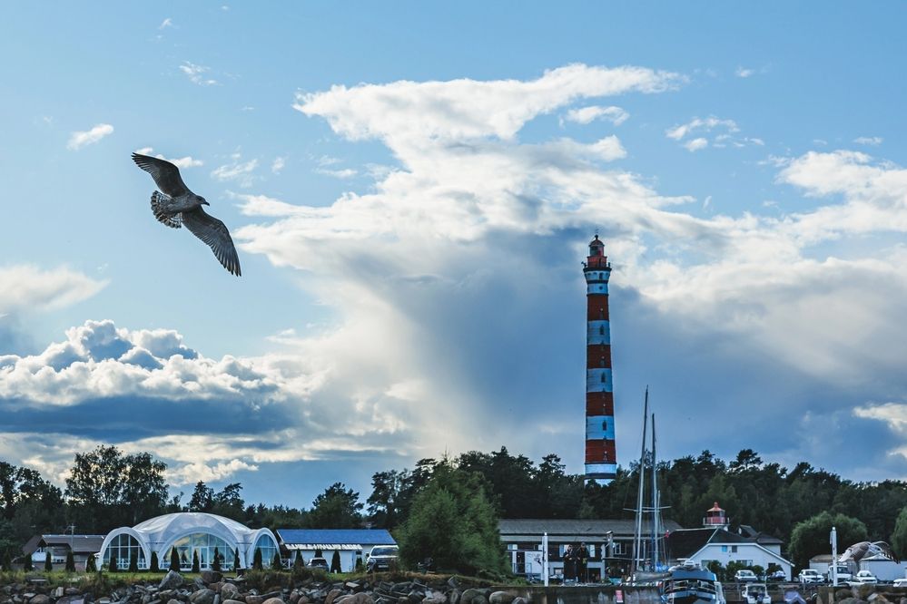 Photograph by Ольга Куликова
