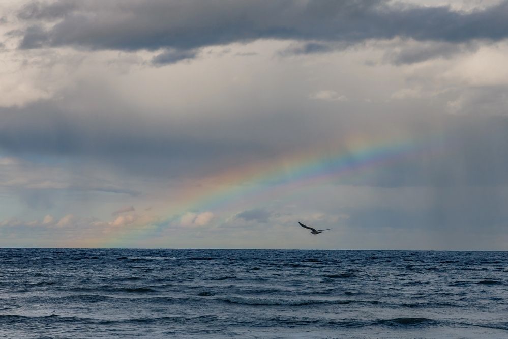 Photograph by Ольга Куликова