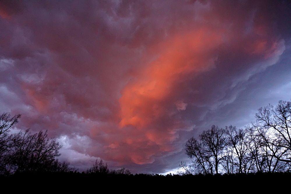 Photograph by Алфия Бугакова