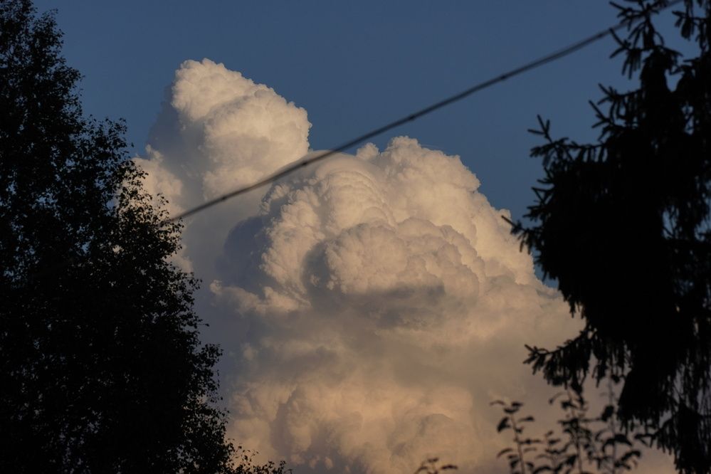 Photograph by Алфия Бугакова