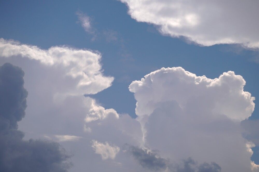 Photograph by Алфия Бугакова