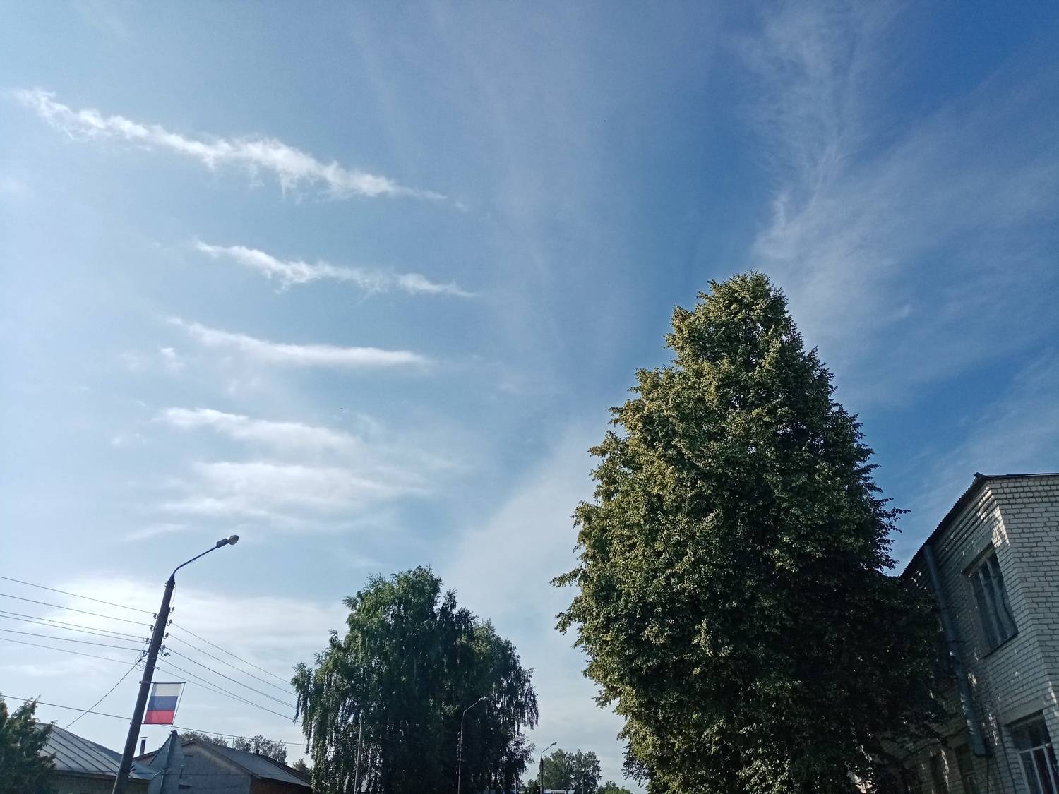 Photo #12546754