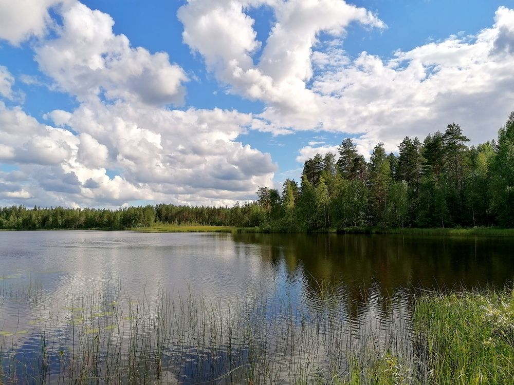 Рисовало небо облаками