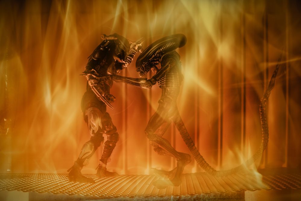 Photograph by Sara Jazbar