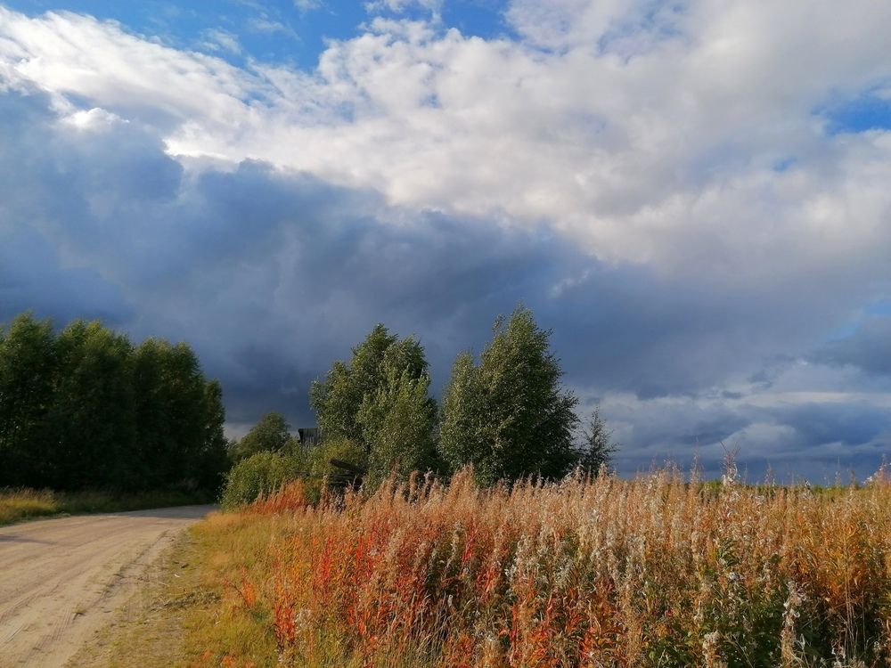 Нахмурилось небо