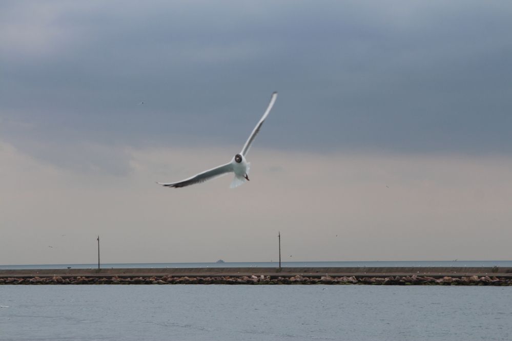 Photograph by Кристина Шацкая