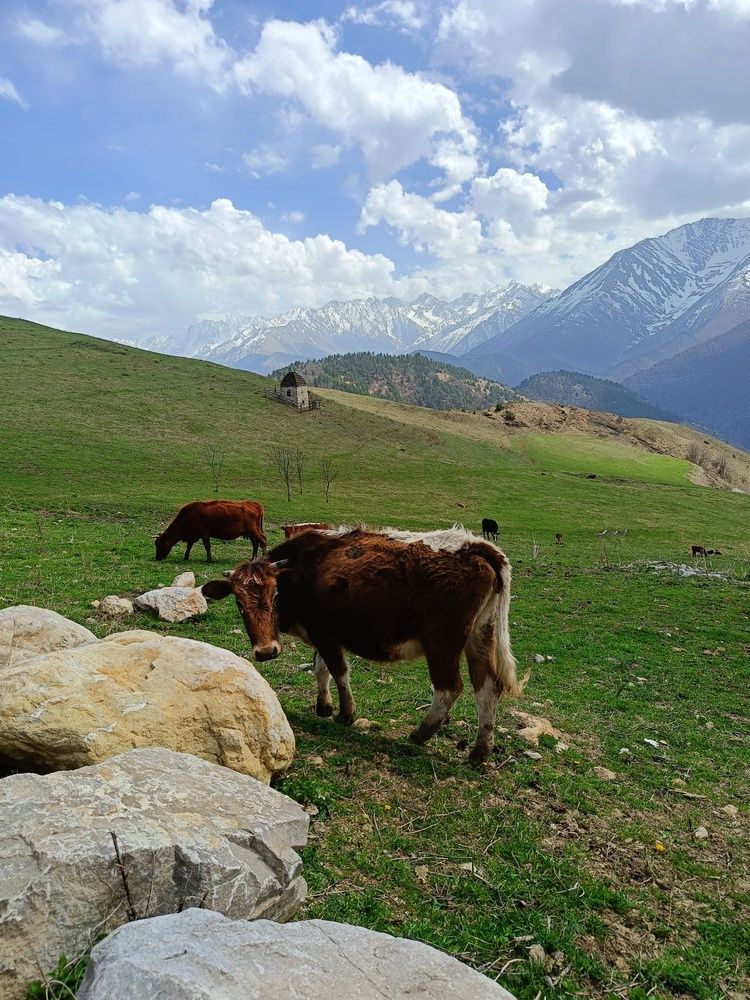 Photograph by Кристина Шацкая