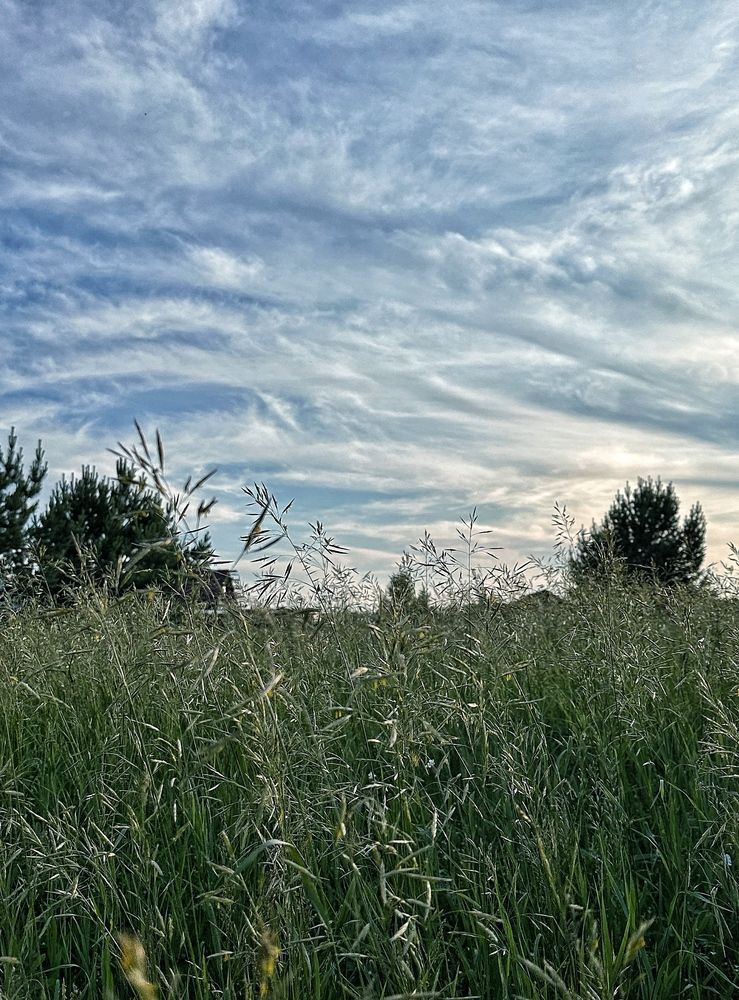 Photograph by Svetlana Tolkunova