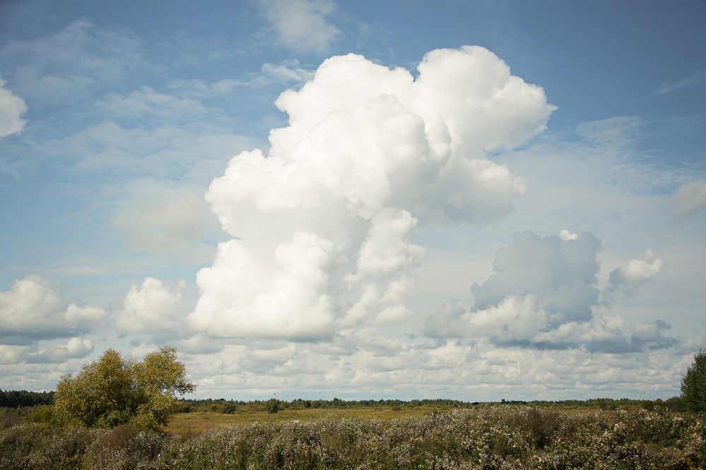 Фотография автора Елена Разина
