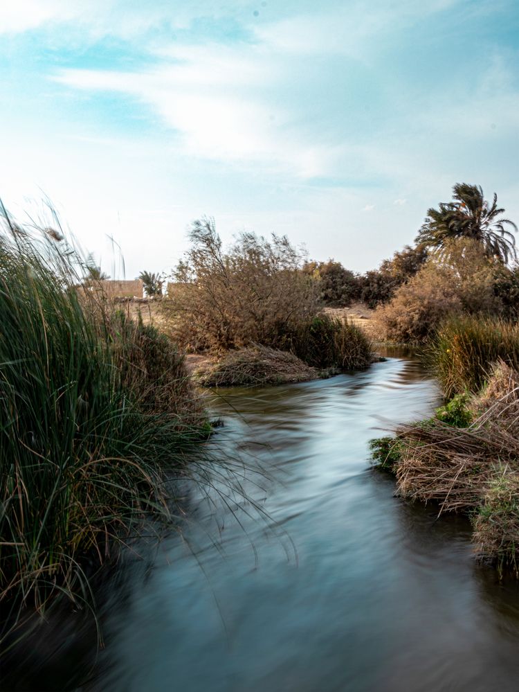 Photograph by Hanan Elmahmoudy