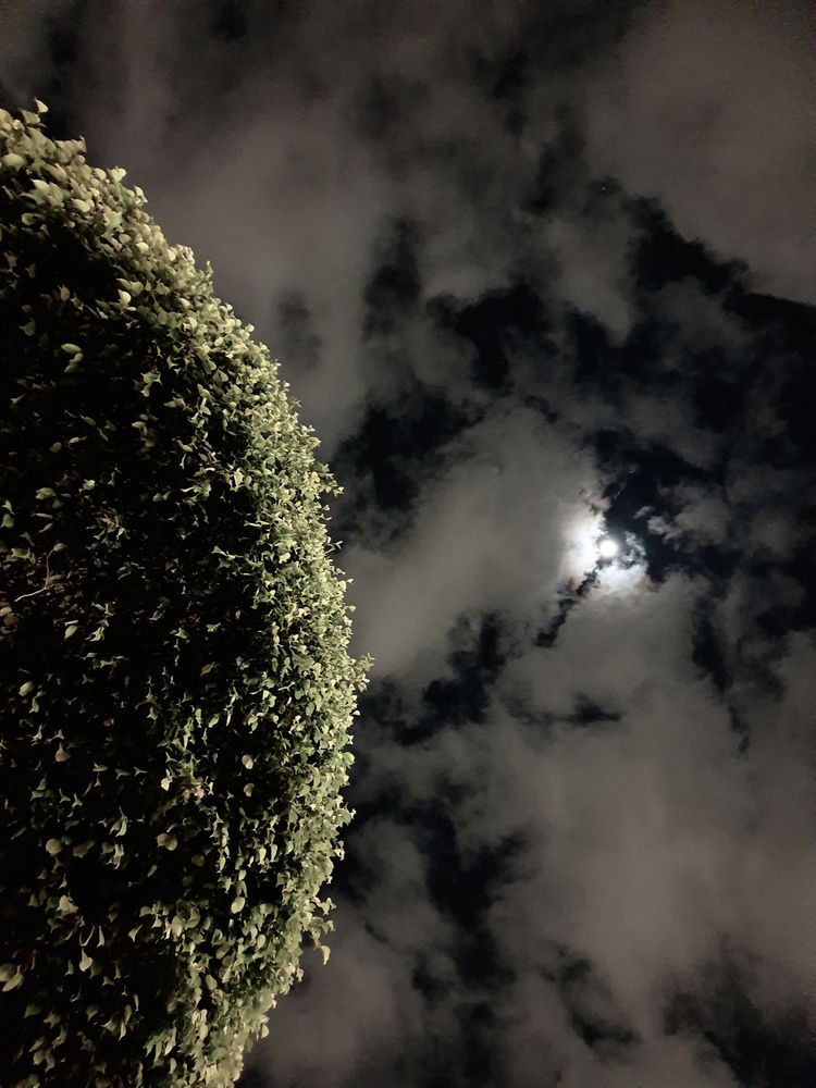 Photograph by Hanan Elmahmoudy