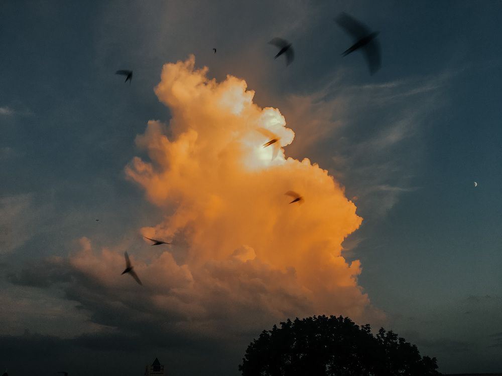 Photograph by Кристина Луканова