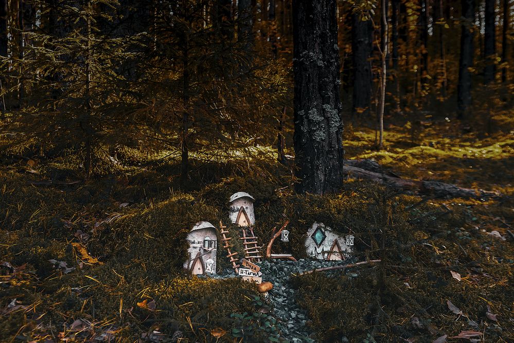 Photograph by Андрей Городецкий