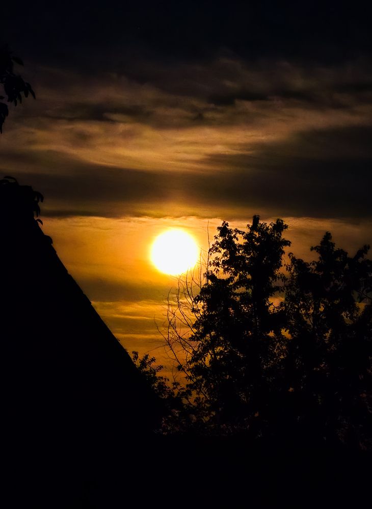 Photograph by Татьяна Гуцанович