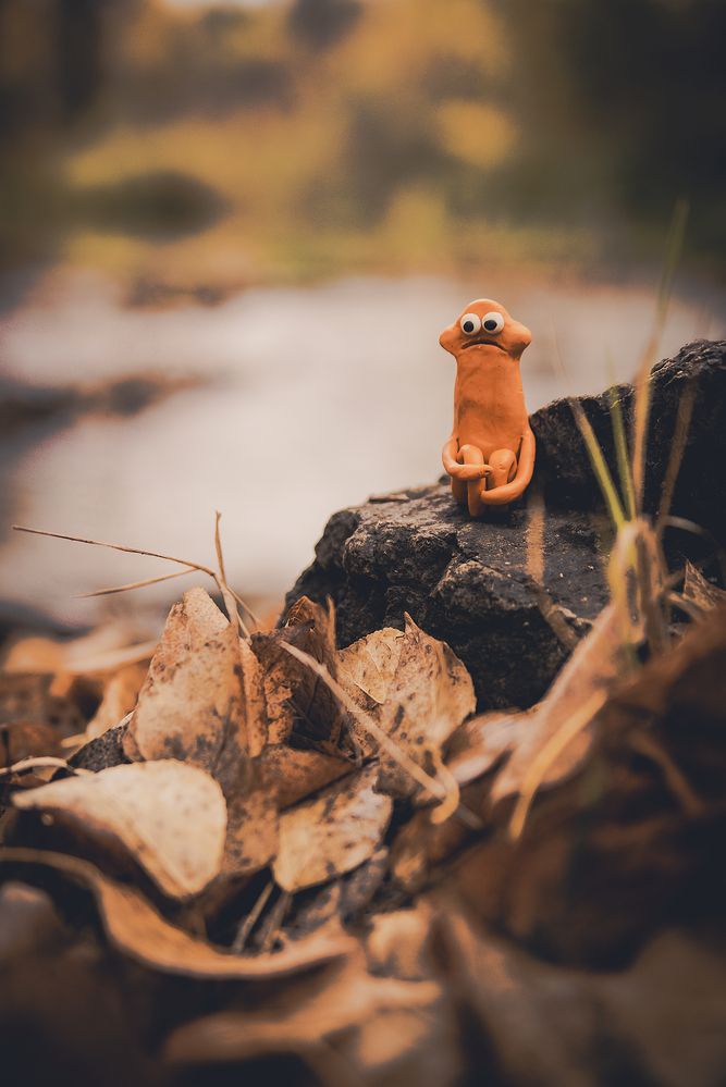 Фотография автора Андрей Городецкий