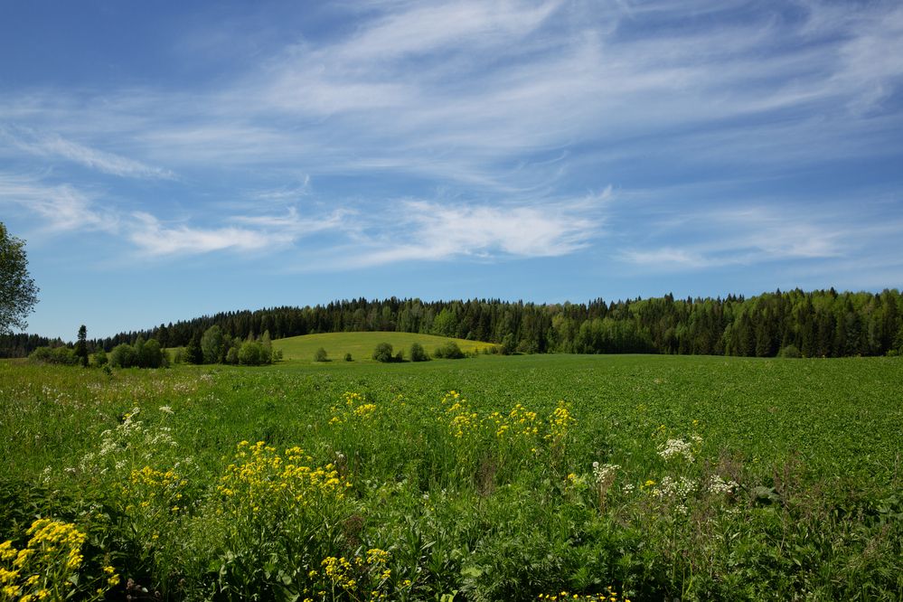 Фотография автора Шатохин Георгий