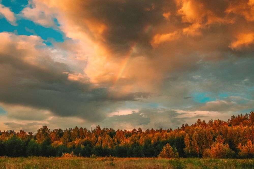 Photograph by Алексей Голубев