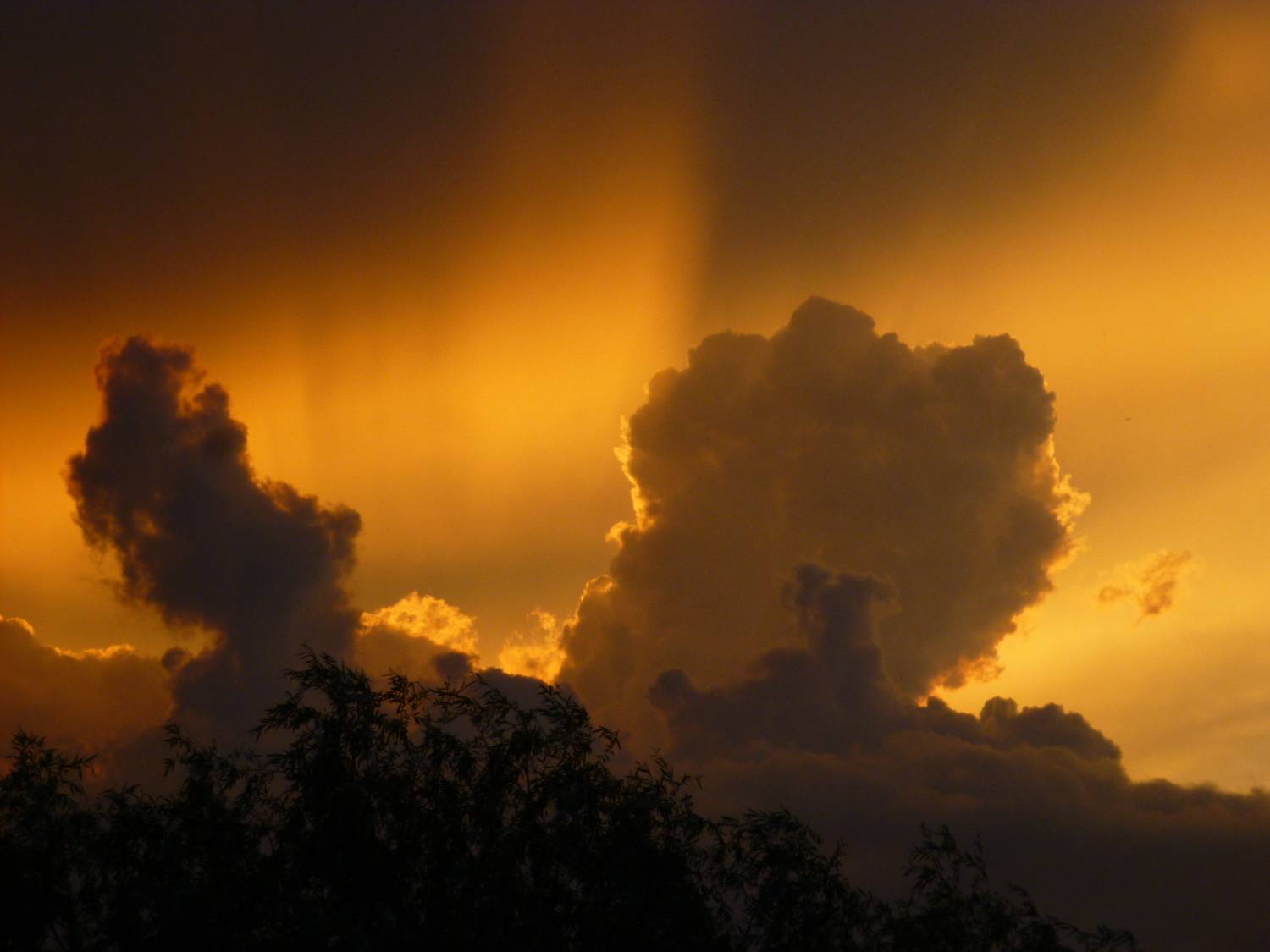 Photo #12547030