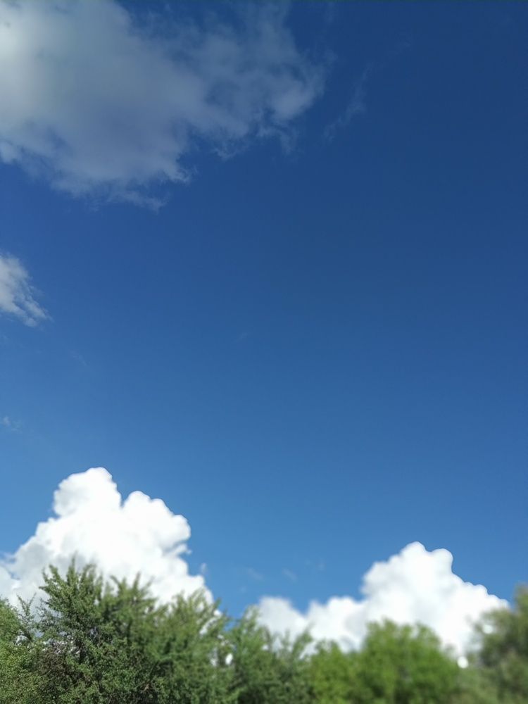 Photo #12547065