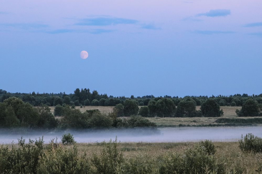 Photograph by Алексей Голубев