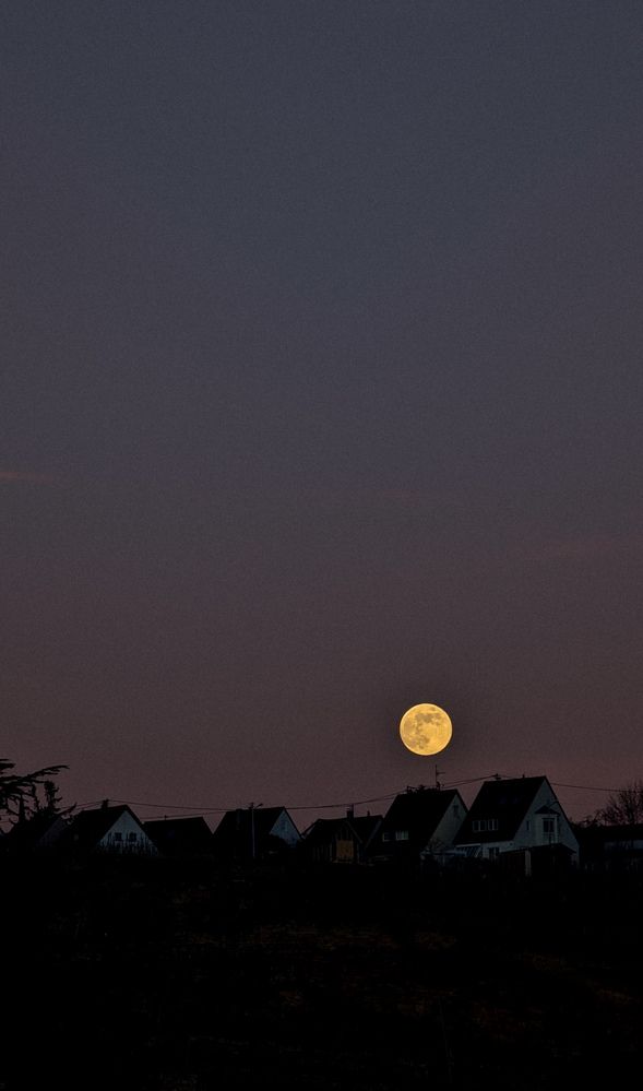 Photograph by Ирина Usanova