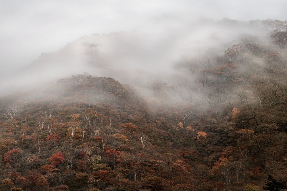 Photograph by Iwamoto Reina