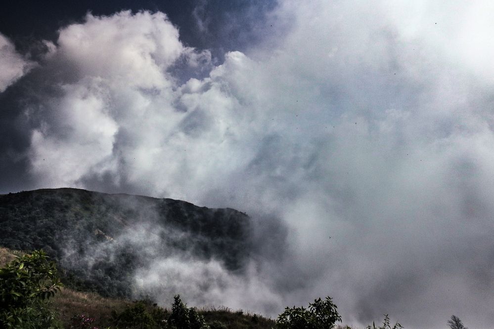 Photograph by Tanusri RoyChowdhury