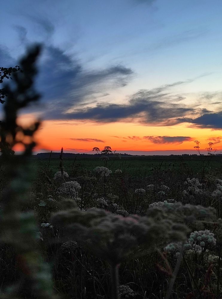 Photograph by Анастасия Гиринская