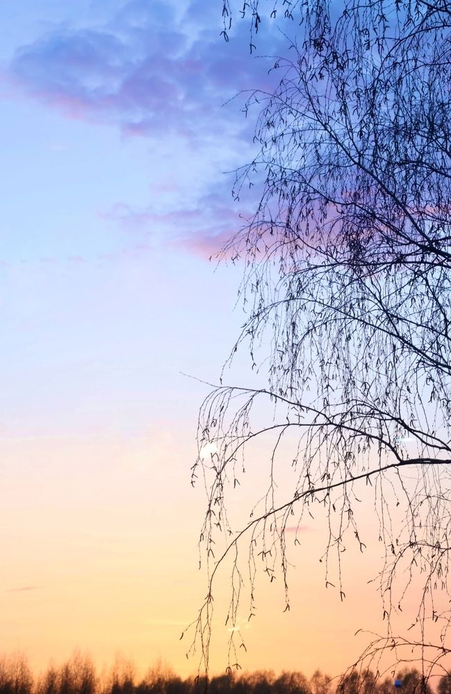 Photograph by Дмитрий Корягин