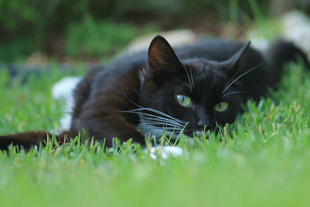 Photograph by Антон Иванов