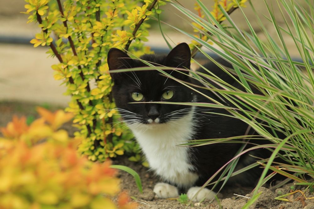 Photograph by Антон Иванов