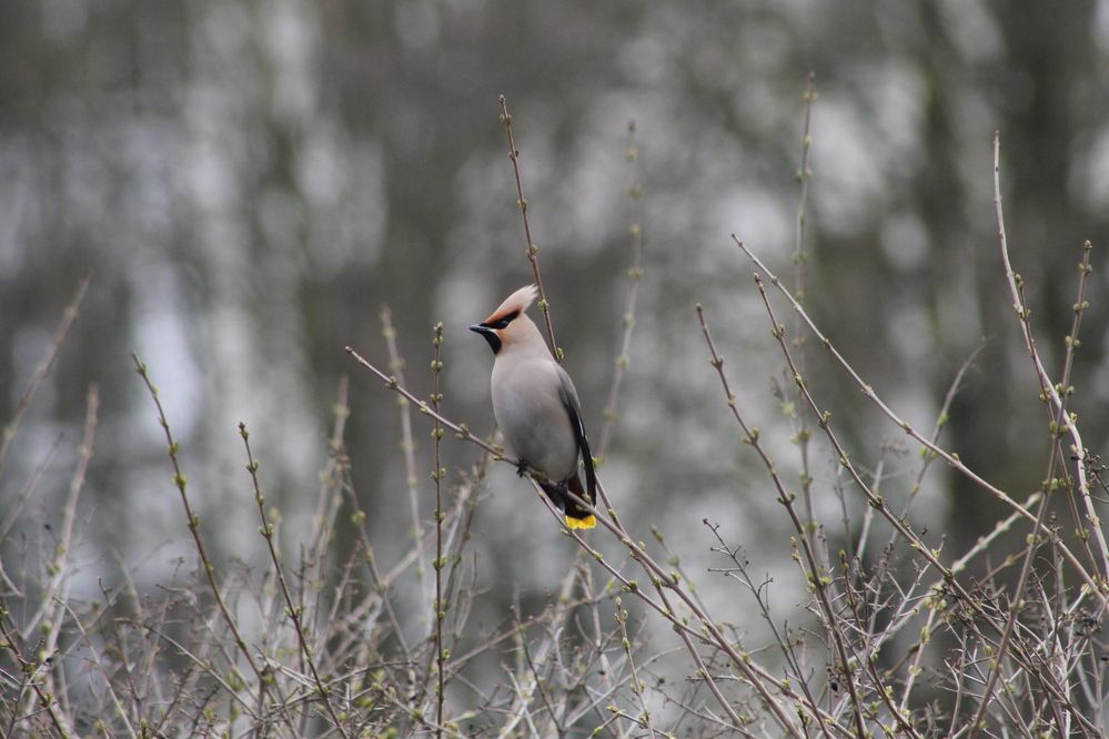 Photograph by Антон Иванов