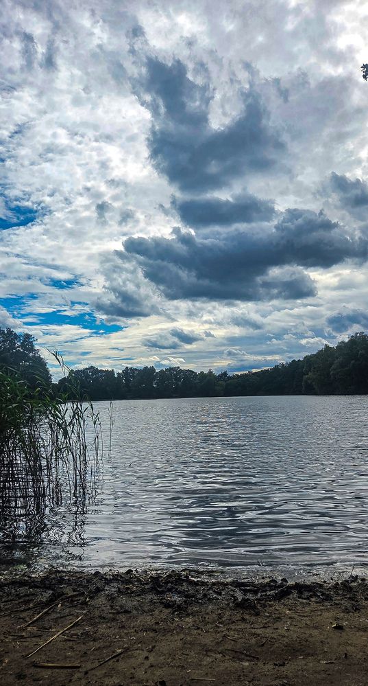 Photograph by Alena Smolianinova