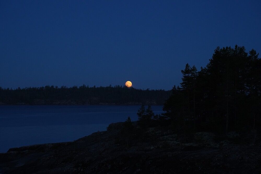 Фотография автора Юлия Овчинникова