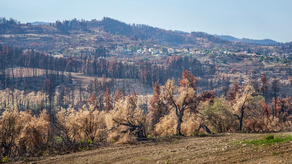 Photograph by Марина Ческис