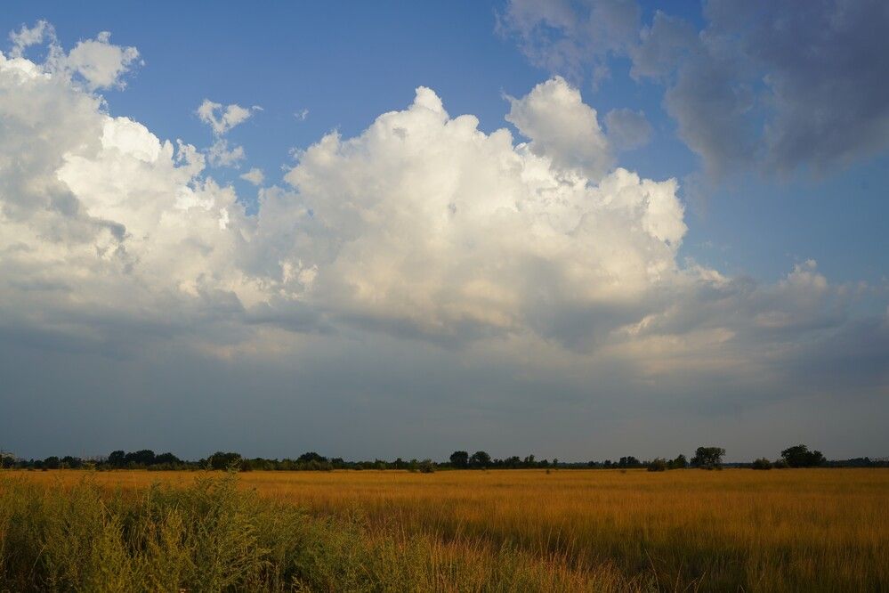 Фотография автора Юлия Овчинникова